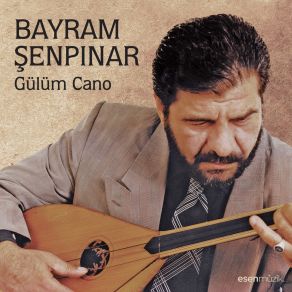 Download track Derdimi Kimlere Desem Bayram Şenpınar