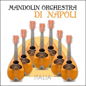 Download track Torna A Surriento The Mandolin Orchestra Di NapoliAngelo Petisi, His Mandolin Orchestra