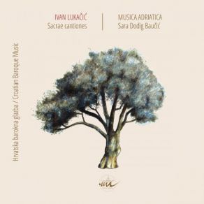Download track Sancta Et Immaculata Musica AdriaticaImmaculata