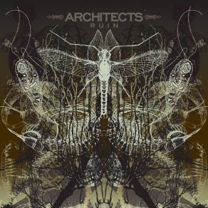 Download track Low Architects, Sam Carter