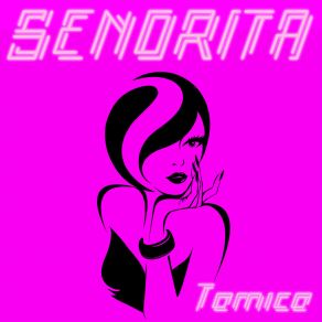 Download track Señorita (Karaoke Instrumental Carpool Edit) Tamica