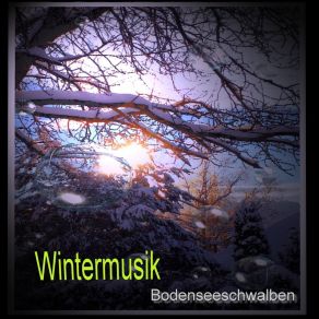 Download track Go Tell It On The Mountains BodenseeschwalbenHank Häberle Jr