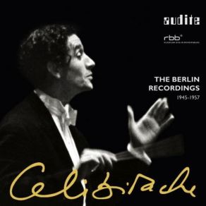 Download track Dvorak, Cello Concerto In B Minor, Op. 104 - I. Allegro Berliner Philharmoniker, Sergiu CelibidacheTibor De Machula