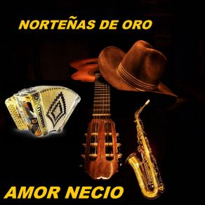 Download track Lagrimas Y Lluvia Nortenas De Oro