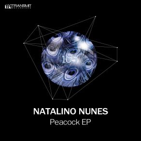 Download track Peacock Natalino Nunes