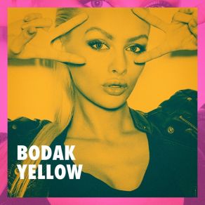 Download track Bodak Yellow The Party Hits All Stars