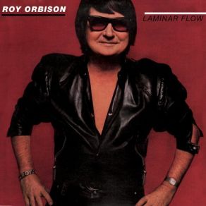 Download track We're Into Something Good Roy Orbison