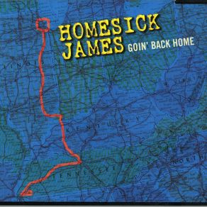 Download track Isolation Blues Homesick James