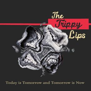 Download track Give It To Me The Trippy Lips