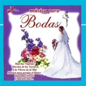 Download track No Rompas Mas Mi Pobre Corazon Various Artists, Caballo Dorado