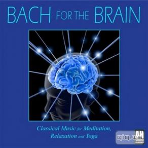 Download track Johann Sebastian Bach Bach For The Brain