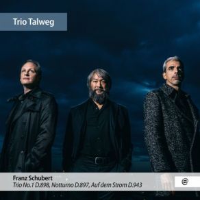 Download track Trio No. 1 In B-Flat Major, D. 898 III. Scherzo. Allegro Trio Talweg