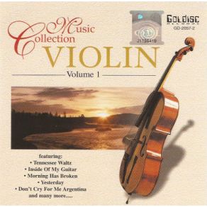 Download track Dont Cry For Me Argentina Music Collections Violin