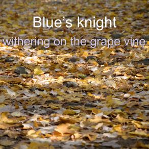 Download track As Long As A Piece Of String Blue's Knight