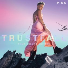 Download track All Out Of Fight P! Nk