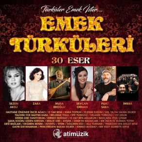 Download track Bir İncecik Duman Tüter 