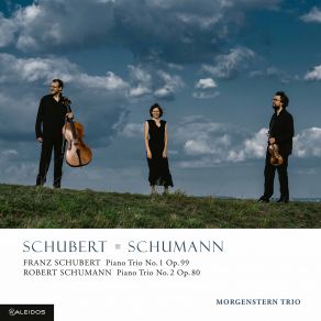Download track Schubert: Piano Trio No. 1 In B-Flat Major, Op. 99, D. 898: II. Andante Un Poco Mosso Morgenstern Trio
