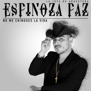 Download track No Me Chingues La Vida Espinoza Paz