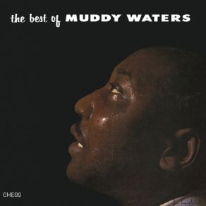 Download track (I'm Your) Hoochie Coochie Man Muddy Waters