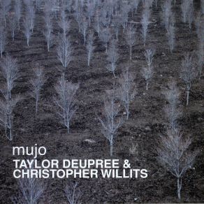 Download track Newspaper Christopher Willits, Taylor Deupree