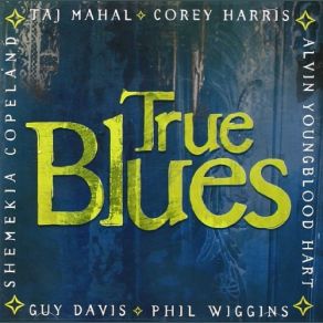 Download track Roberta Corey Harris, Guy Davis, Alvin Youngblood HartPhil Wiggins