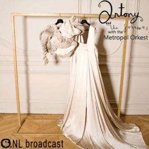 Download track Crazy In Love Metropole Orchestra, Antony And The Johnsons