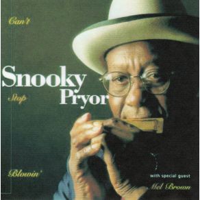 Download track Ain'T Nobody'S Business Snooky Pryor