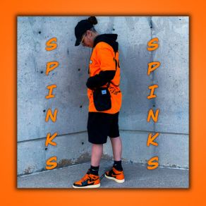 Download track Everything Happens For A Reason Spinks