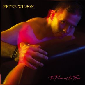 Download track Never In A Million Years (Luke Labarre Linn Mix) Peter Wilson