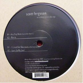 Download track Gate To My Soul Scott Ferguson