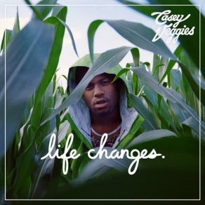 Download track Life Changes Casey VeggiesPhil Beaudreau