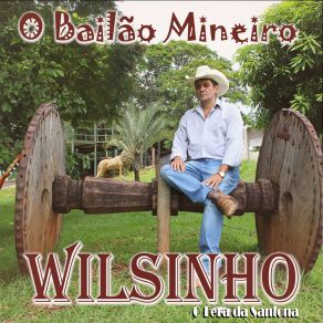 Download track Gaita Gaúcha Wilsinho O Fera Da Sanfona