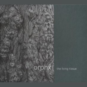 Download track Surface Orphx