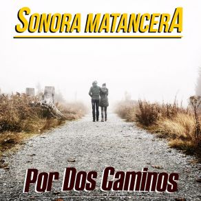 Download track Amor Fenecido (La Sonora Matancera) La Sonora MatanceraNelson Piñedo