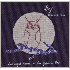 Download track Into The Light Boy & The Echo Choir