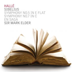 Download track Symphony No. 5 Op. 82 - III. Allegro Molto Sibelius