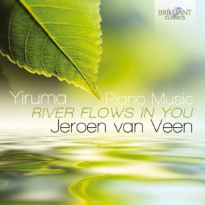 Download track Yellow Room Jeroen Van Veen