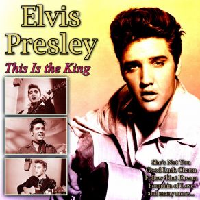 Download track She's Not You Elvis Presley