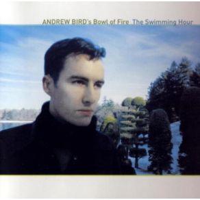 Download track Too Long Andrew Bird'S Bowl Of Fire