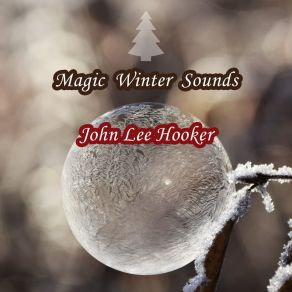 Download track High Priced Woman John Lee Hooker