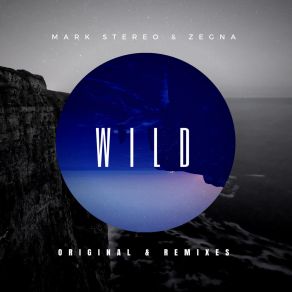 Download track Wild (Dr. Berk Remix) Mark Stereo, ZegnaDr Berk