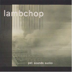 Download track I Can Hardly Spell My Name Lambchop