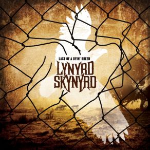Download track Homegrown Lynyrd Skynyrd