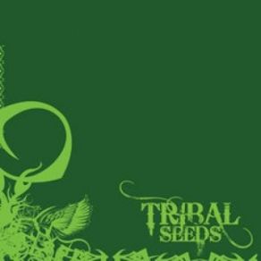 Download track Island Girl Tribal Seeds