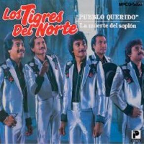Download track Flor Del Río Los Tigres Del Norte