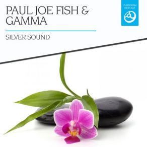 Download track Falling Star Gamma, Paul Joe Fish