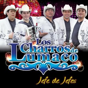 Download track Soy Un Vagabundo Los Charros De Lumaco
