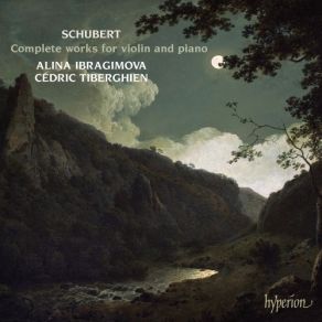 Download track 01 - Violin Sonata In D Major 'Sonatina', D384 - 1- Allegro Molto Franz Schubert