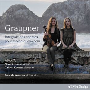 Download track Sonata For Violin And Obbligato Harpsichord In G Minor, GWV 711: I. Largo Naomi Dumas