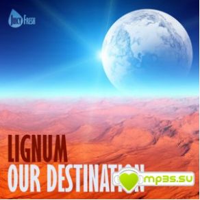 Download track Our Destination (Radio Edit) Lignum